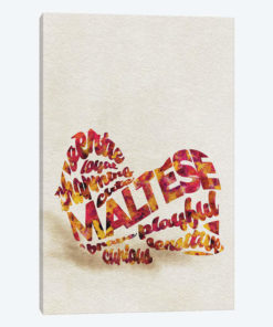 Maltese