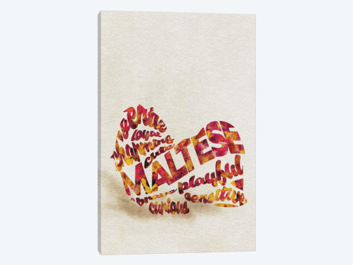 Maltese