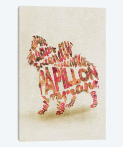 Papillon