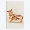 Pembroke Welsh Corgi