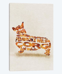 Pembroke Welsh Corgi