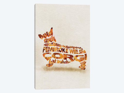 Pembroke Welsh Corgi