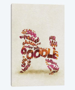 Poodle
