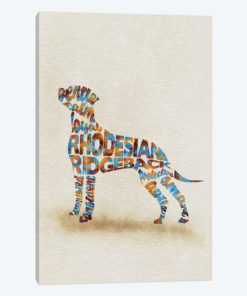 Rhodesian Ridgeback