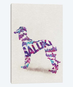 Saluki