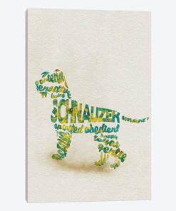 Schnauzer
