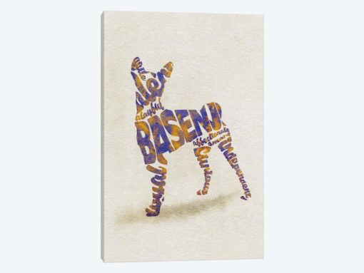 Basenji