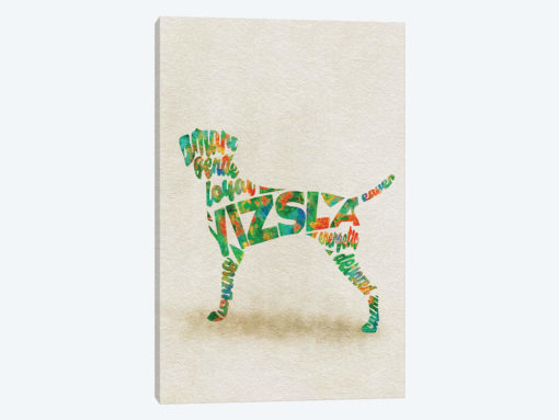 Vizsla