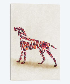 Weimaraner
