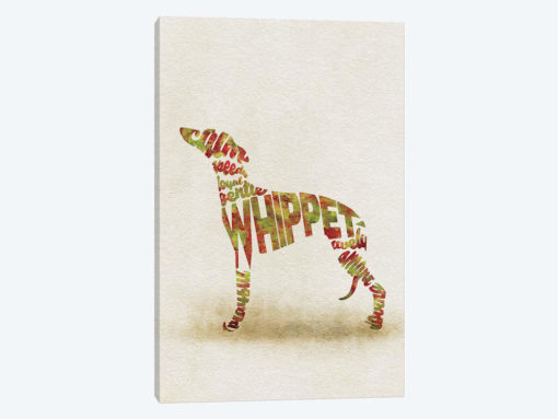 Whippet