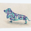 Basset Hound