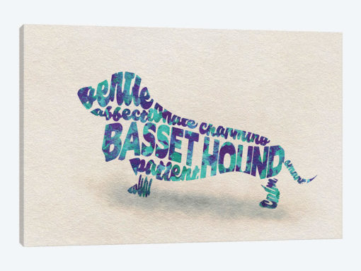 Basset Hound
