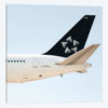 Aviation Star Alliance A330 Tail