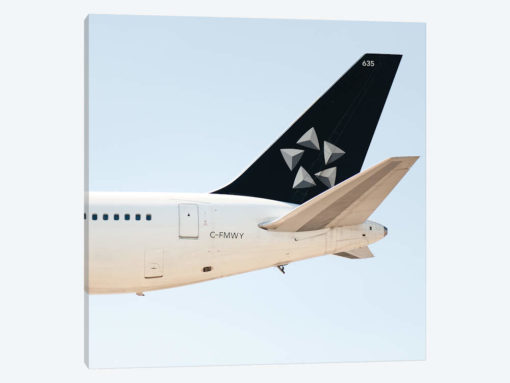 Aviation Star Alliance A330 Tail