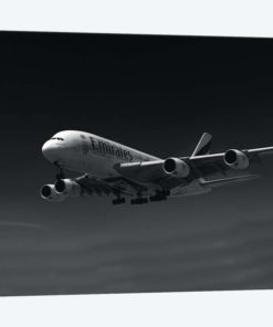 Black And Silver Study A380 Side View