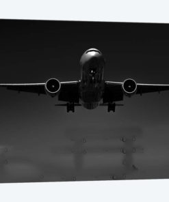 Black And Silver Study B777 Wings Spread