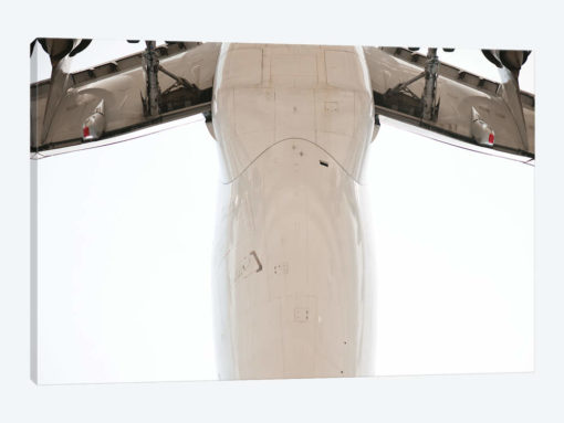 Aviation Airbus Belly Landing