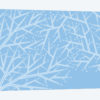 Fractals