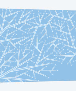 Fractals