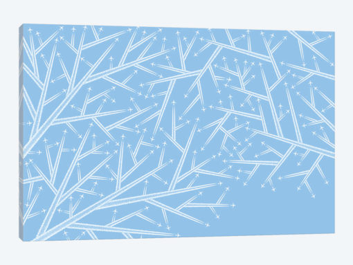 Fractals