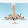 Aviation Klm 747 Nose Cropped