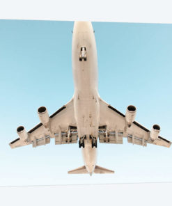 Aviation Klm 747 Nose Cropped