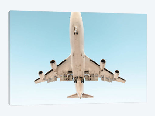 Aviation Klm 747 Nose Cropped