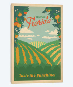 Florida (Taste The Sunshine)