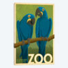 Support The Zoo (Parrots)