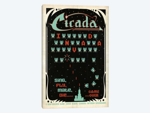 Cicada Invada