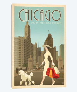 Chicago, Illinois (Michigan Ave. Shopper)