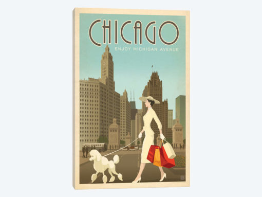 Chicago, Illinois (Michigan Ave. Shopper)