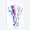 An Elephant Never Forgets