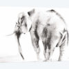 Lone Elephant Gray