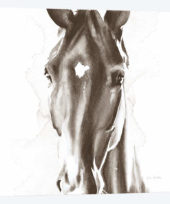 Le Cheval Noir Brown Crop