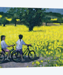Yellow Field, Kedleston, Derby