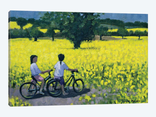 Yellow Field, Kedleston, Derby