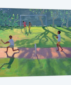 Cricket, Sri Lanka I