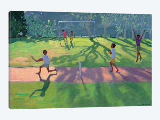 Cricket, Sri Lanka I