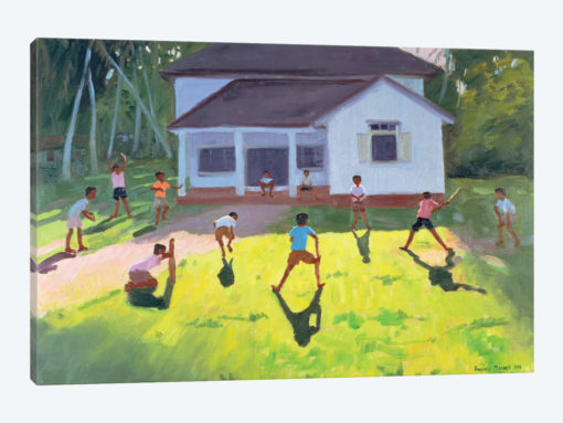 Cricket, Sri Lanka II