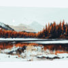 Serenity