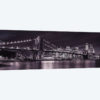 New York XI