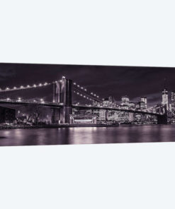 New York XI