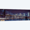 New York XII