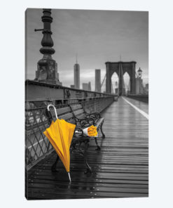 New York XV