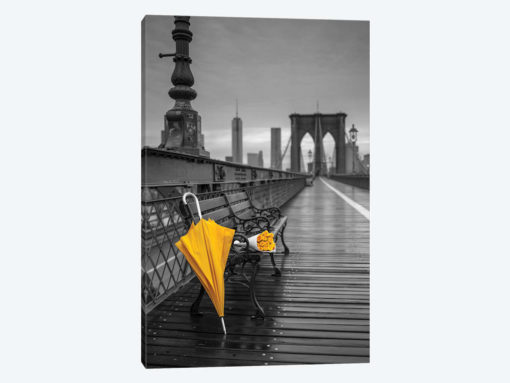 New York XV