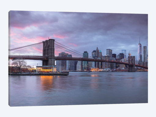 New York XVI