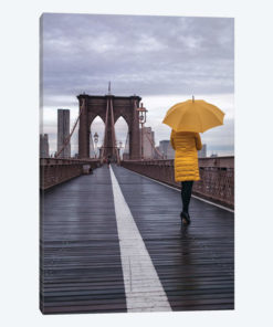 New York XVII