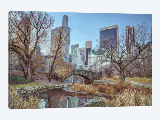 New York XXI
