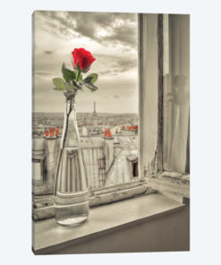 Paris IV